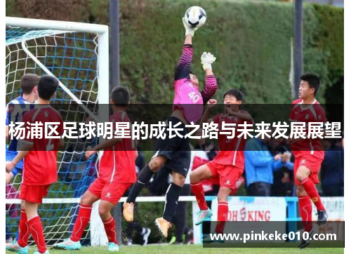 杨浦区足球明星的成长之路与未来发展展望